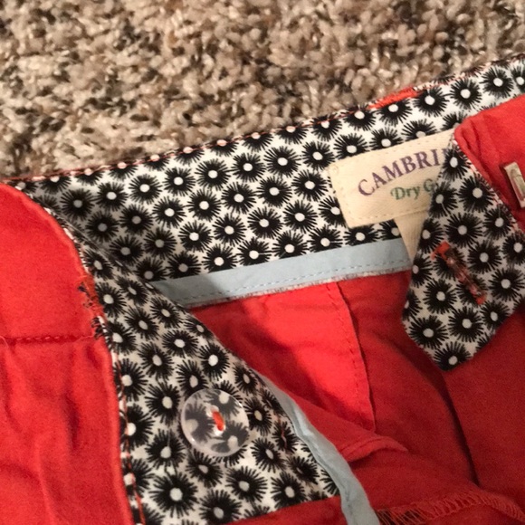 Elephant Embroidered Shorts - Picture 3 of 4